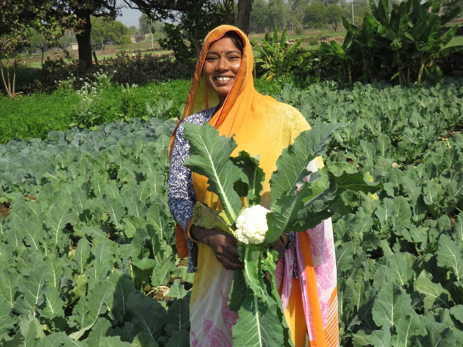 Enhancing Livelihoods