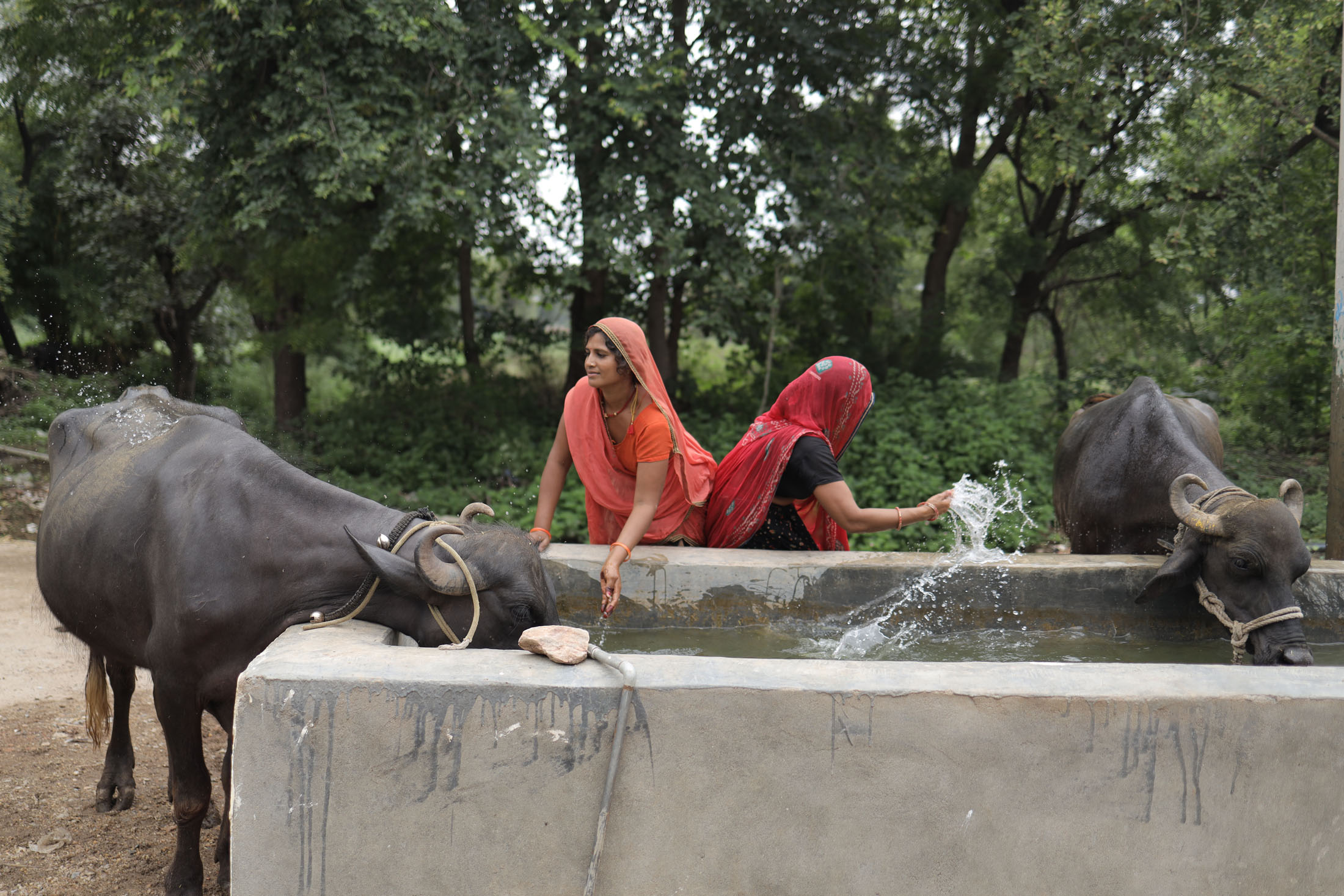 Water, Sanitation & Hygiene (WASH)